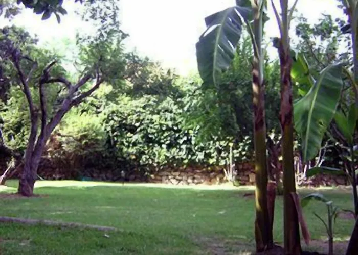 Boutique Geranios Del Pinar 토레몰리노스