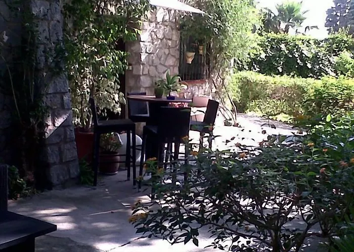 게스트하우스 Boutique Geranios Del Pinar