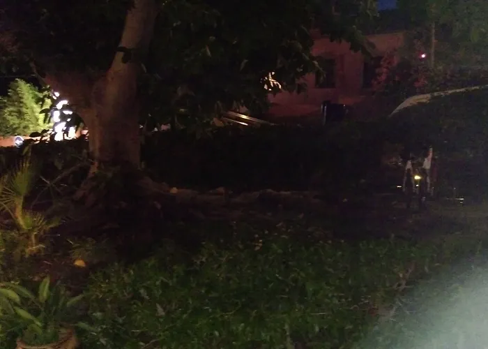 Boutique Geranios Del Pinar Torremolinos